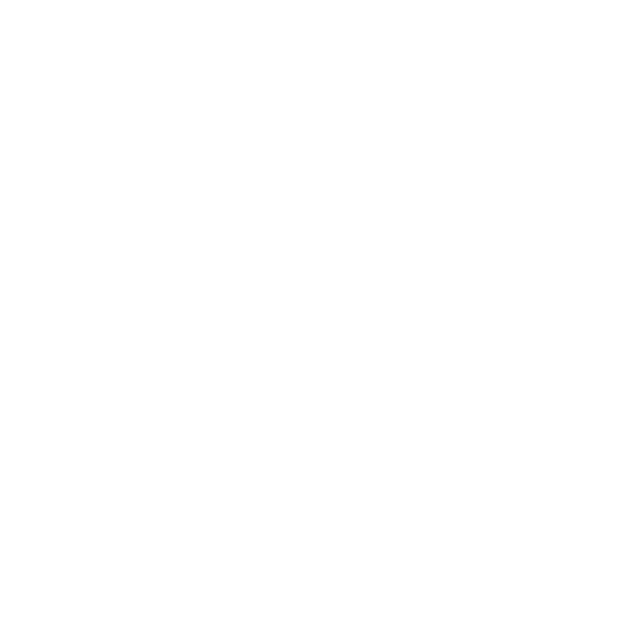 Valus Logo